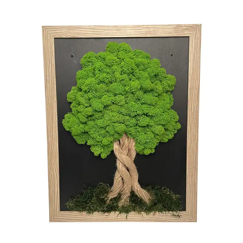 Tablou de mușchi în ramă maro deschis 34 x 44 cm | În stoc