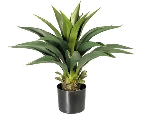 Produs vedetă - Planta Artificiala Agava In Ghiveci H 57 Cm Verde