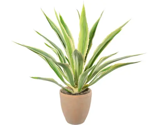 Planta Artificiala Agava In Ghiveci H 85 Cm Verde - Preț atractiv
