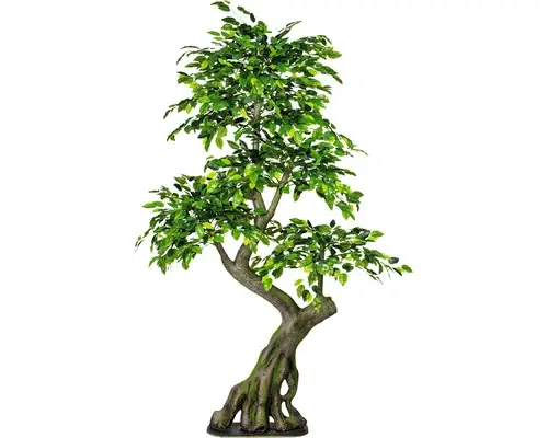 Planta Artificiala Feriga Benjamina In Ghiveci H 170 Cm - Preț excelent