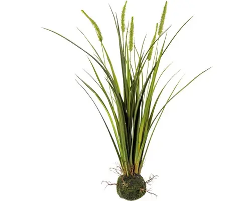 Ultimele produse - Planta Artificiala Iarba Miscanthus H 63 Cm Verde
