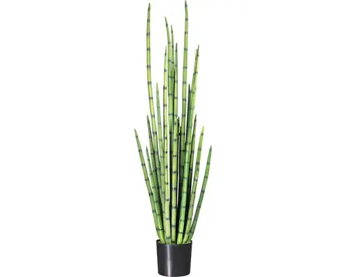 În tendințe - Planta Artificiala Limba Soacrei Sanseveria Cilindrica In Ghiveci H 140 Cm Verde