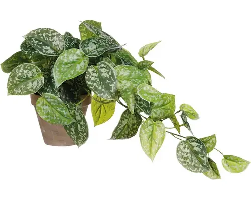 Profită de ofertă | Planta Artificiala Mica Scindapsus Ghiveci Ø 17 Cm H 44 Cm