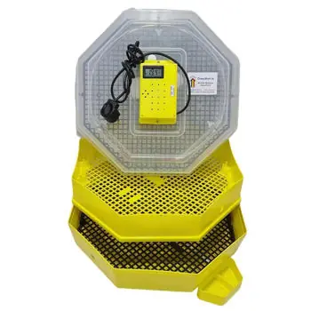 Incubator miscellaneous Cleo 5x2dt (84362100) Incubator Dublu Cu Dispozitiv De Intoarcere Si Termometru | Produs adăugat recent