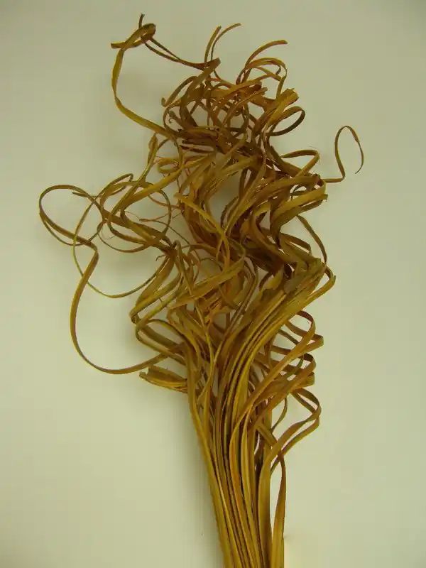 Reducere mare | Curly Ting Ting, 45 cm
