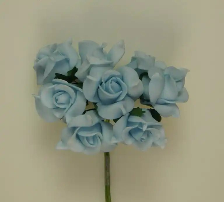 Buchet de trandafiri, aqua, spuma - Lansare recentă