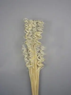Profită acum | Twisted tamboo, alb