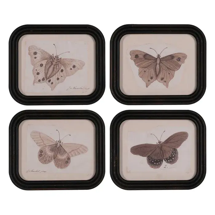 Set de 4 tablouri cu fluturi imprimati 30 X 2 X 25 CM | Preț special