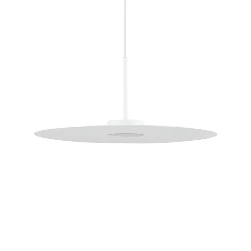 Livrare expres | Lampa suspendata COSTILA