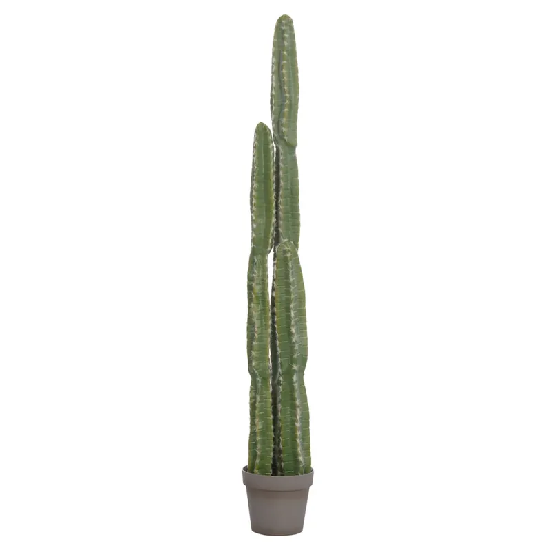 Cactus VEBER 141 CM | În topul vânzărilor